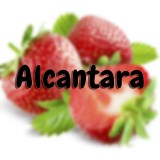 Alcantara