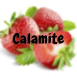 Calamite