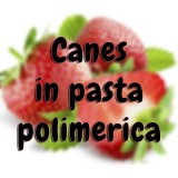Canes in pasta polimerica