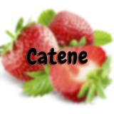 catene