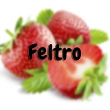 Feltro