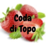 Coda di Topo