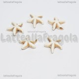 5 Stelle Marine in Pasta di Turchese bianco 15mm