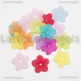 10 Fiori in lucite colorata 18mm 