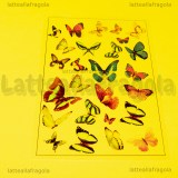 Foglio in Acetato Trasparente Disegni Farfalle ritagliabili 15x10.5cm