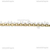 1 Metro catena acciaio inox dorato maglie ovali 3x2mm