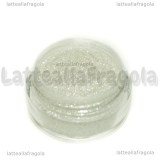 Pigmento di Mica micronizzata Silver 2gr