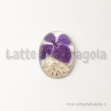 Cabochon in resina con veri fiori disidratati viola/bianco 25x18mm
