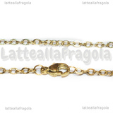 Collana in Acciaio Inox Dorato maglia ovale piatta 3x2.5mm 75cm