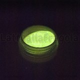 Pigmento fluorescente 2gr Cod.09