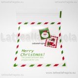10 Bustine in plastica con chiusura adesiva  Cartolina Merry Christmas 13.9x9.9cm