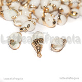 Ciondolo Conchiglia Naturale placcata oro 13-25x8-11x8-10mm