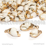 Ciondolo Conchiglia Naturale placcata oro 13-25x8-11x8-10mm