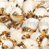 Ciondolo Conchiglia Naturale placcata oro 13-25x8-11x8-10mm
