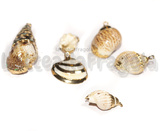 Set 6 Ciondoli Conchiglie Naturale placcate oro 18-59x9-24x7-22mm