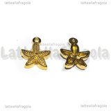 Ciondolo Stella Marina in Acciaio Inox Dorato 15.5x12x3mm