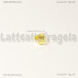 25 Biconi in vetro Giallo AB 4x4mm