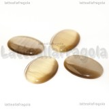 Cabochon in Occhi di Gatto Nocciola 25x18mm