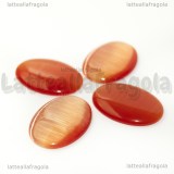 Cabochon in Occhi di Gatto Arancio 25x18mm