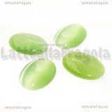 Cabochon in Occhi di Gatto Verde 25x18mm