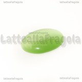 Cabochon in Occhi di Gatto Verde 25x18mm