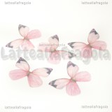 Ali di Farfalla in organza toni rosa 30x22mm