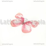 Ali di Farfalla in organza toni rosa acceso 30x22mm