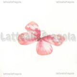 Ali di Farfalla in organza toni rosa acceso 30x22mm